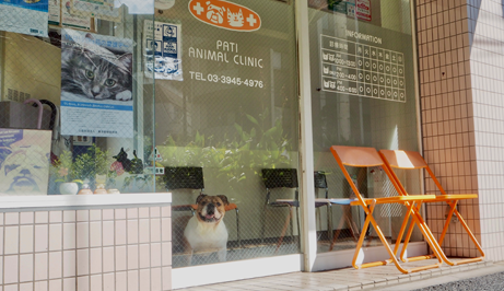 パティ動物病院