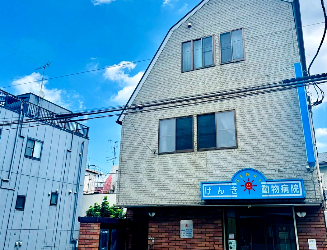 げんき動物病院