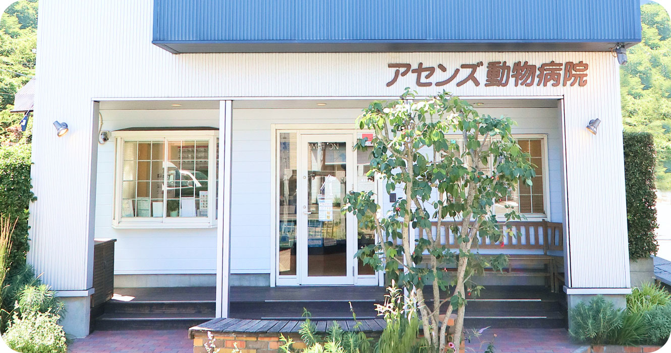 アセンズ動物病院