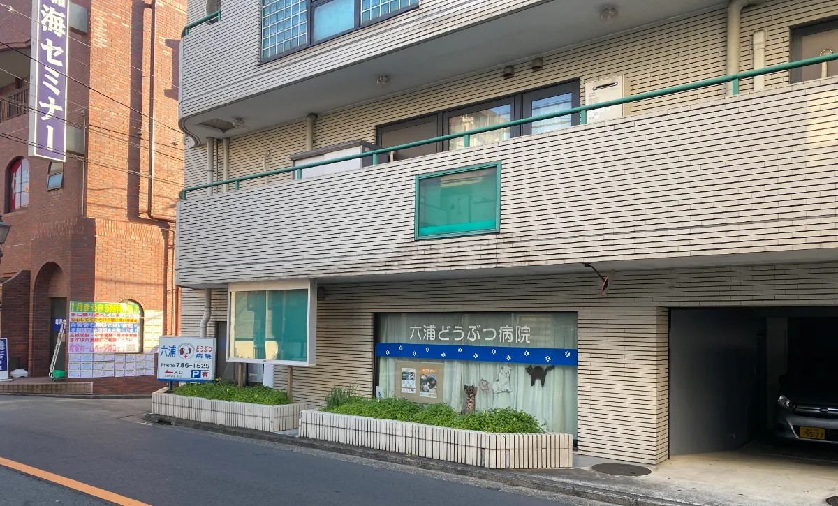 六浦どうぶつ病院