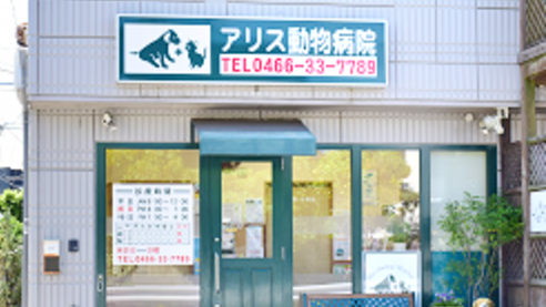 アリス動物病院
