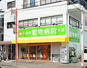 いぶき動物病院
